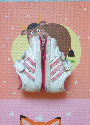 Кроссовки adidas5 фото