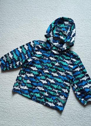 Дождевик куртка с акулами малышу, в идеале.1 фото