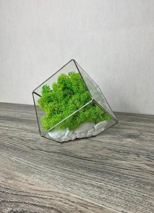 Флораріум куб урізаний (знизу) + мох + камінці6 фото