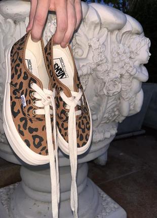 Vans leopard