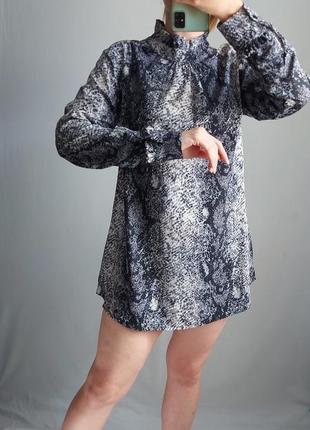 Міні плаття або подовжена блуза від verona4 фото