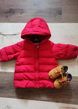 Демісезонна куртка та пінетки