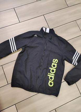 Кофта adidas оригинал