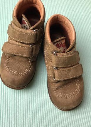 Черевички черевики шкіряні kickers 25р.