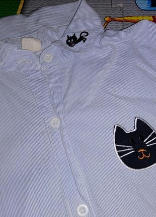 Рубашка з вишивкою котики2 фото