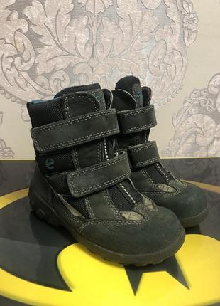 Черевики  ecco демисезонні