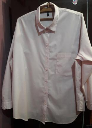 Сорочка рожевого кольору