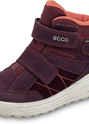 Зимові черевики ecco urban snowboarder gore-tex