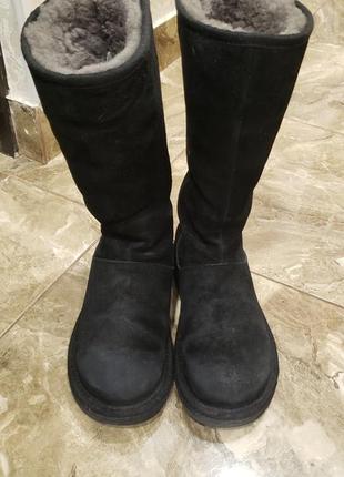 Черевики, чоботи жіночі зимові ugg, розмір 382 фото