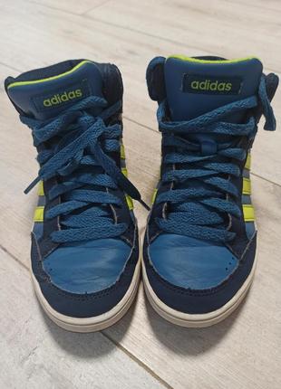 Хайтопи  adidas