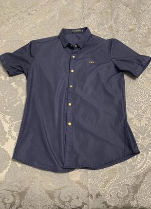 Шведка чоловіча armani