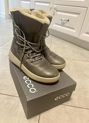 Зимові чоботи ecco