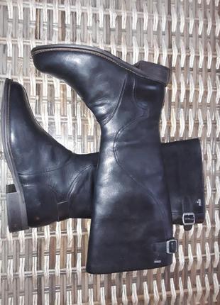 Сапоги кожа  clarks3 фото