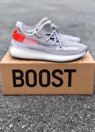 Adidas yeezy 3507 фото