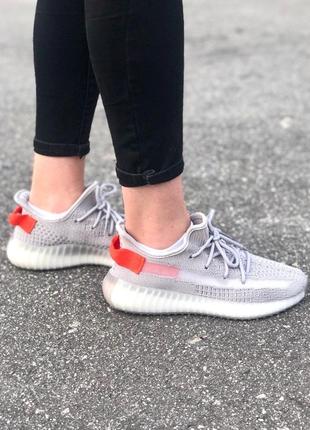 Adidas yeezy 3505 фото