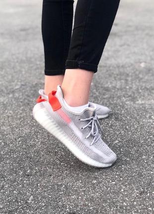 Adidas yeezy 3502 фото