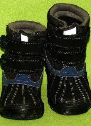Зимние ботинки primigi gore-tex р-р 247 фото