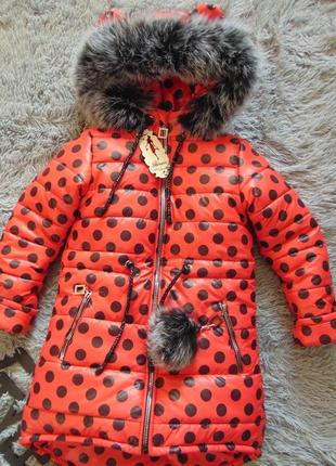 Дитяча зимова подовжена курточка червона в горіхи4 фото