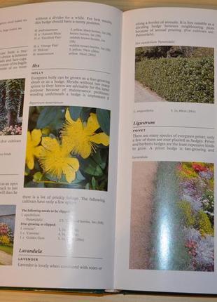 The garden plants encyclopedia, книга на английском4 фото