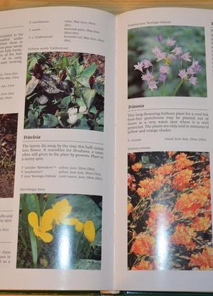 The garden plants encyclopedia, книга на английском8 фото