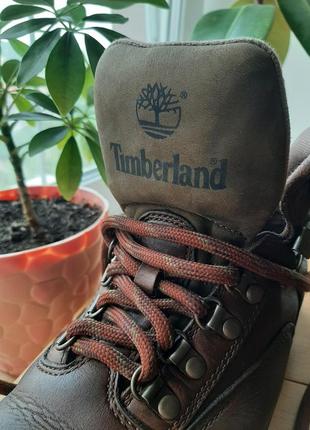 Ботинки timberland 4
