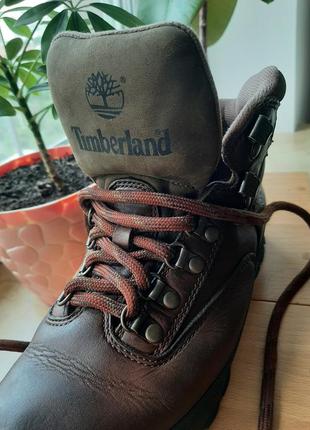 Ботинки timberland9 фото