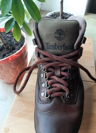 Ботинки timberland10 фото