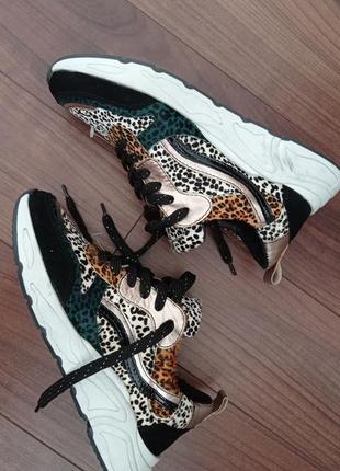 Нові кожані кросівки з хутром leopard 🐆 39.5-40 бренд poelman