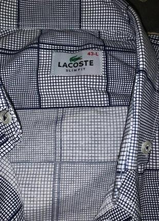 Оригинальная мужская рубашка lacoste2 фото