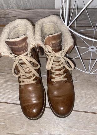 Черевики на шнурівці зимові , теплі черевики landrover 37р6 фото