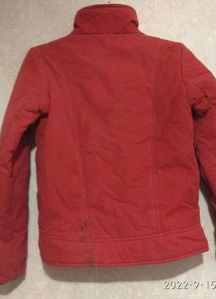 Зимняя легкая куртка., размер 44-462 фото