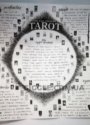 Гадальні карти таро - дике невідоме, the wild unknown tarot (софія)4 фото