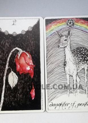 Гадальні карти таро - дике невідоме, the wild unknown tarot (софія)2 фото