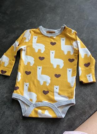 Стан нового