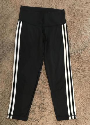 Лосіни adidas