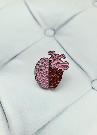 Брошка сердце мозок анатомічне