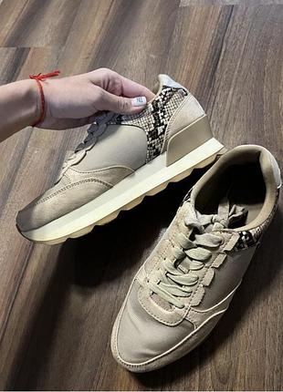 Кросівки zara