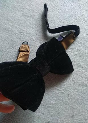 Бабочка велюр