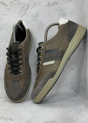 Кросівки ecco