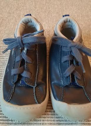 Кеди, кросівки bibi