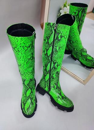 Дизайнерські чоботи alfa 🐺 неоновий салатовий пітон зима хутро демісезон2 фото