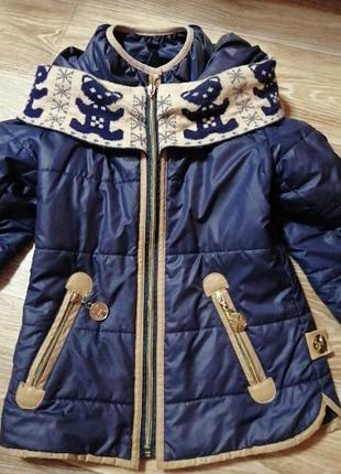 Осенняя синяя курточка с капюшоном с медведиками на замке зимняя
