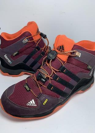Кросівки adidas terrex