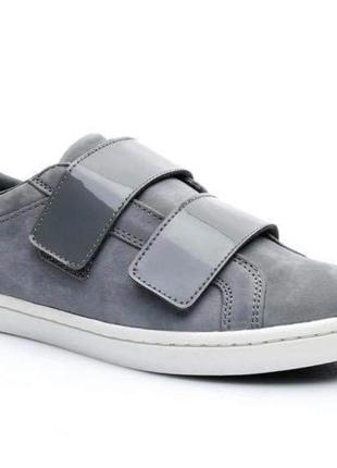 Lacoste кеди сірі