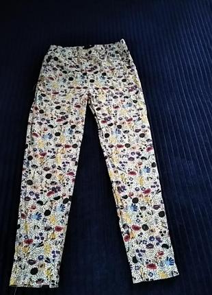 Штани лосіни