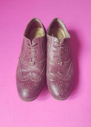 Туфлі оксфорди.