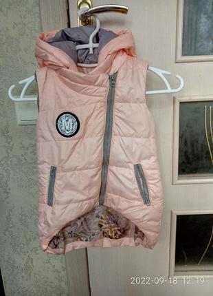 Жилетка,безрукавка,жилеточка