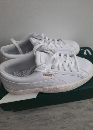 Кросівки puma