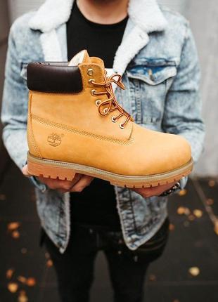 Жіночі ботінки timberland ginger 1

женские ботинки тамберленд5 фото