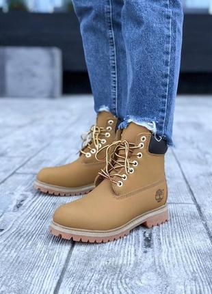 Жіночі ботінки timberland ginger 2

женские ботинки тамберленд1 фото